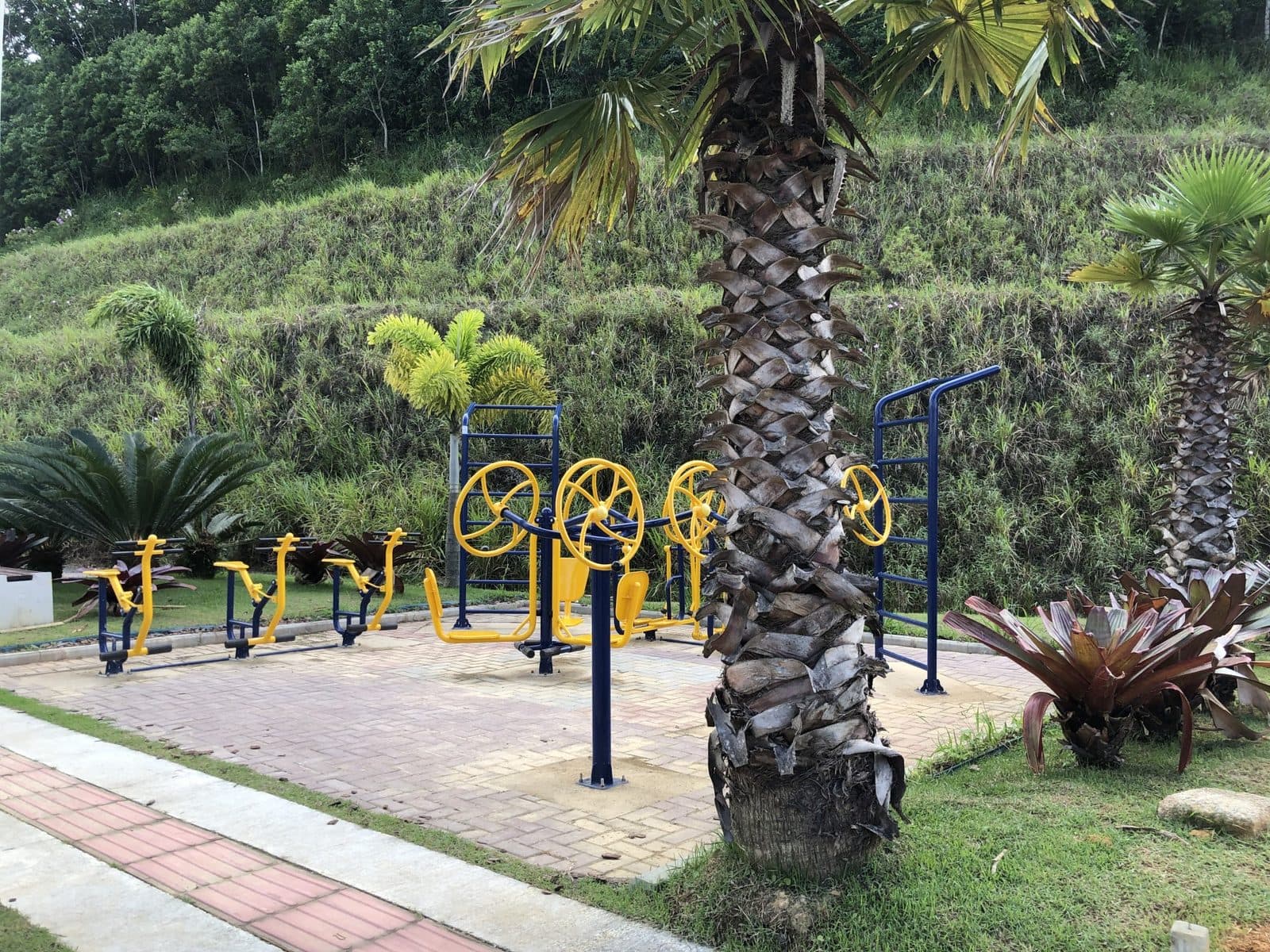 Reserva do Mirante — imagem 5
